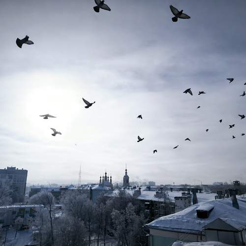 Photo #13313333