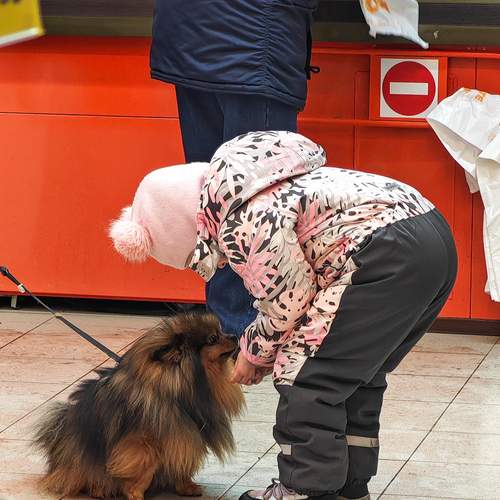 Photo #13313346