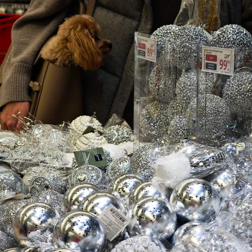 Photo #13313354