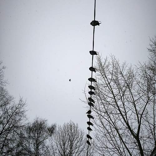 Photo #13313368