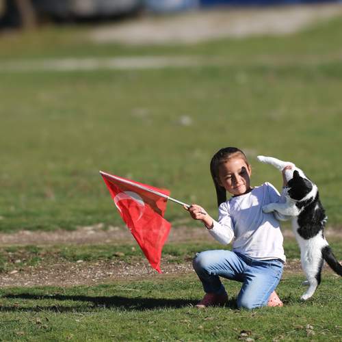 Фотография #13313424