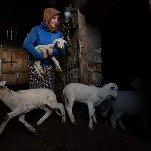 Фотография #13313433