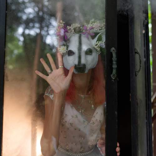 Photo #13313513