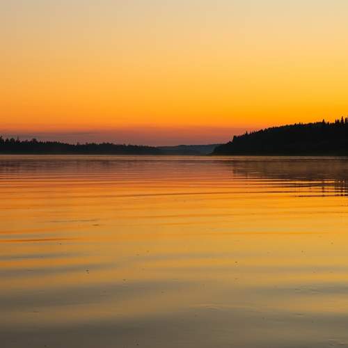 Photo #13313536