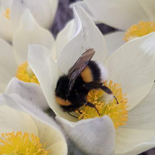 Photo #13313552