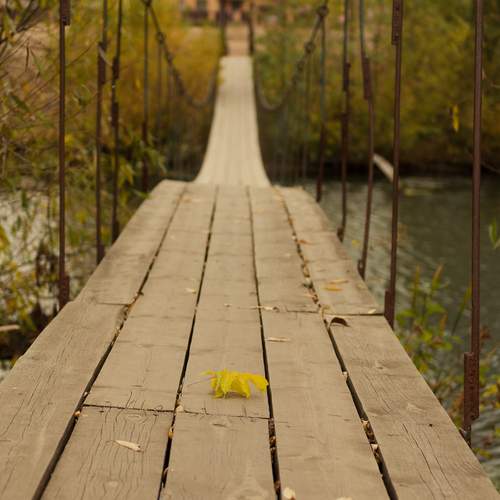 Photo #13313569