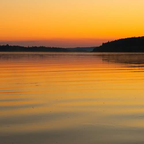 Photo #13313618