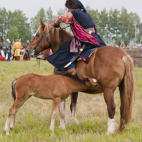 Война войной, а обед по распорядку