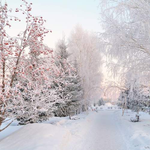 Photo #13313674