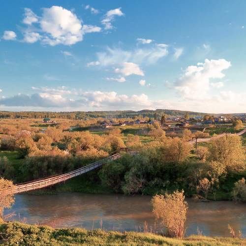 Photo #13313690