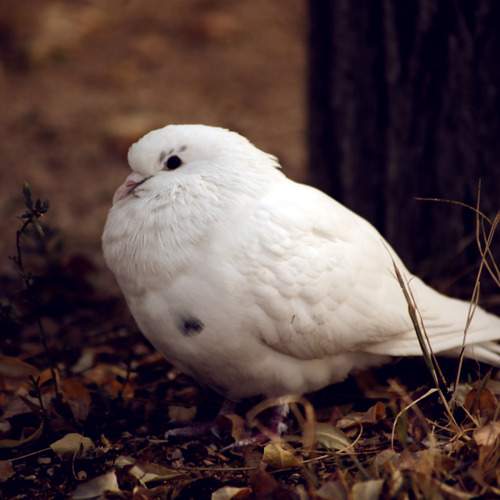 Photo #13313803