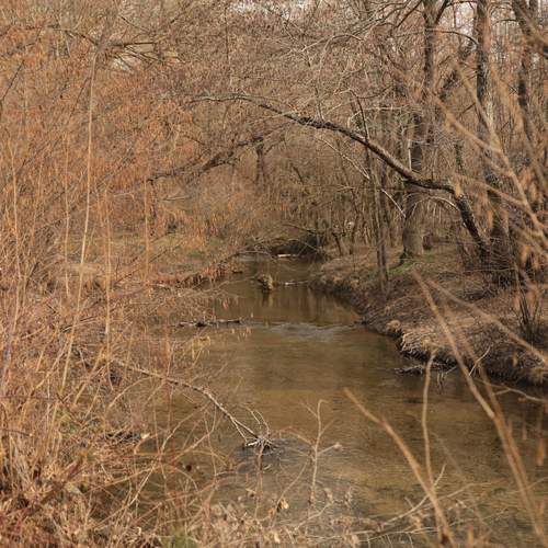 Photo #13313871
