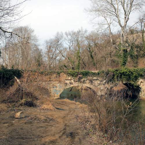 Photo #13313884