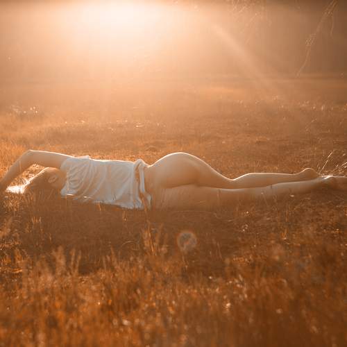 Photo #13314553