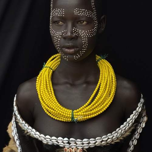 Photo #13314956