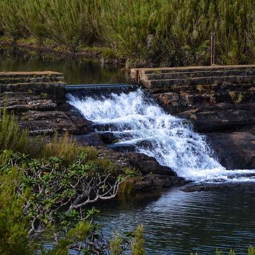 Photo #13314989