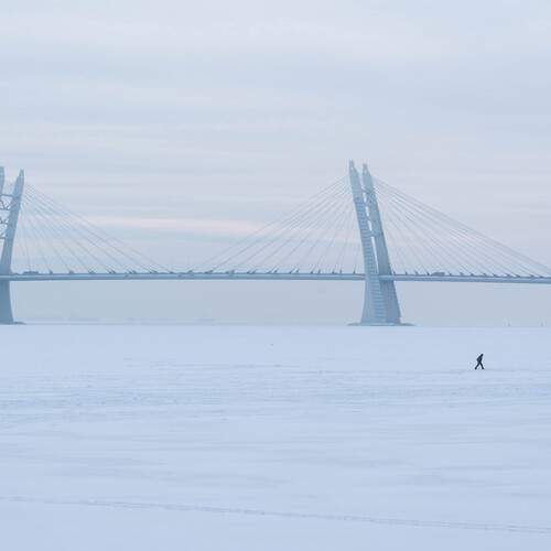 Photo #13315044