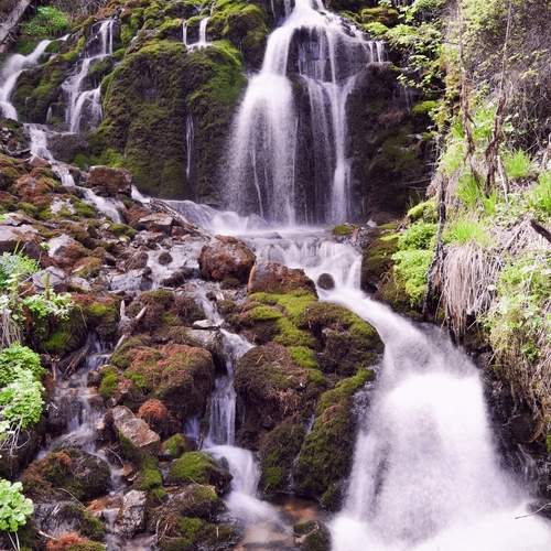 Photo #13315098