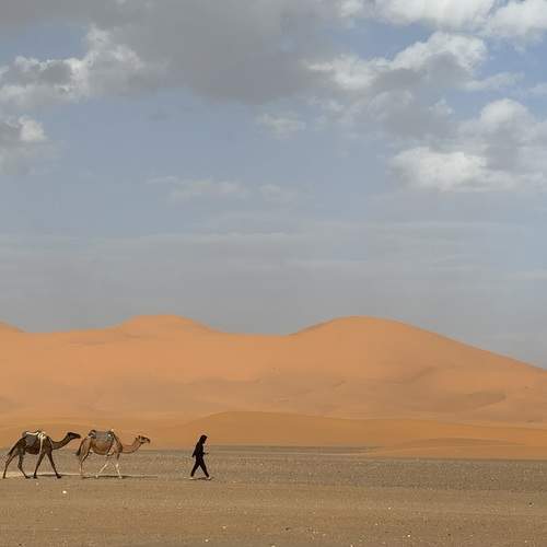 Фотография #13315109