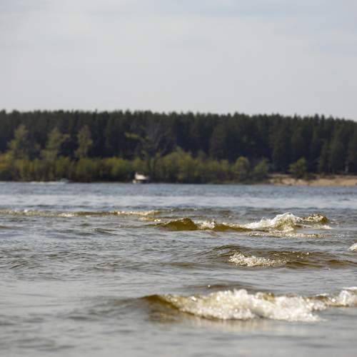 Photo #13315116