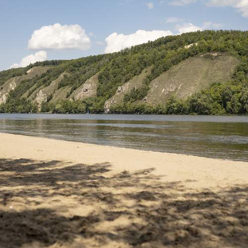 Photo #13315131