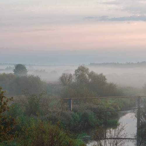 Photo #13315136