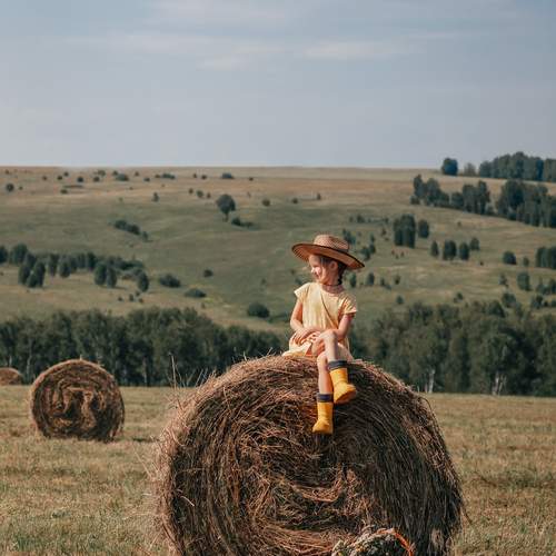 Photo #13315405