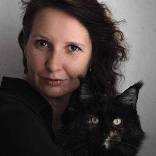 Photo #13315408