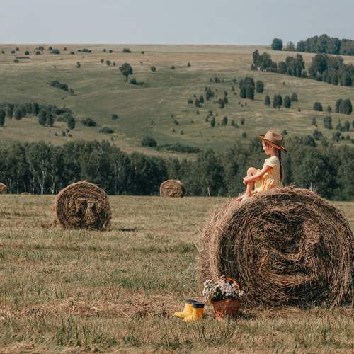 Photo #13315420