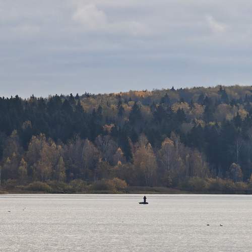 Photo #13315485