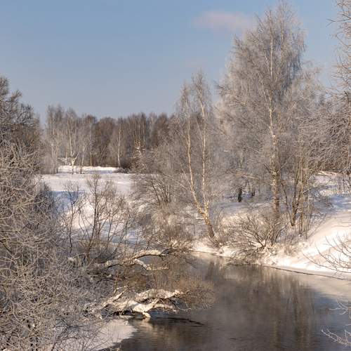 Photo #13315527