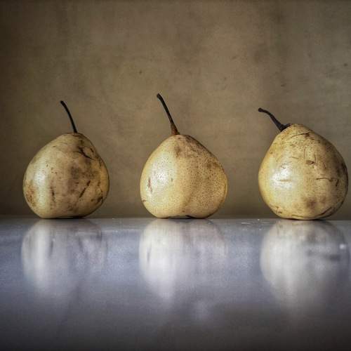 Photo #13315578