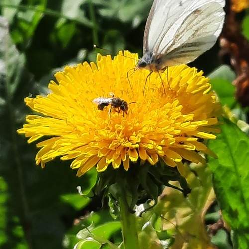 Photo #13315622