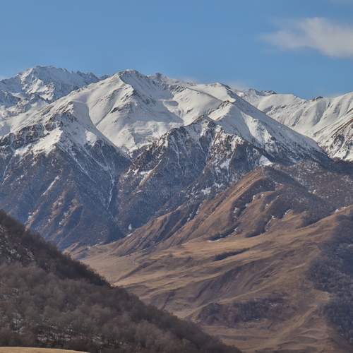 Photo #13315698