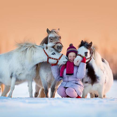 Зимняя дружба