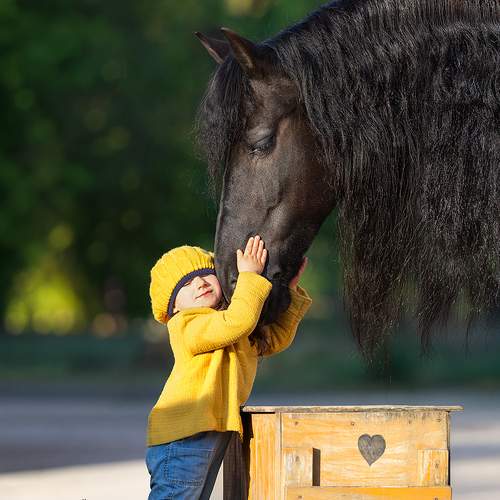 Прикосновение к мечте