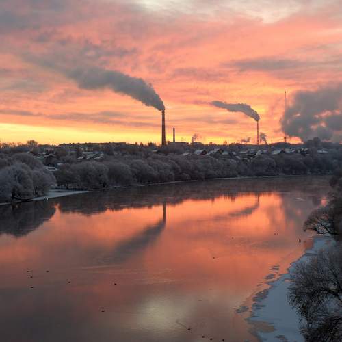 Photo #13315810