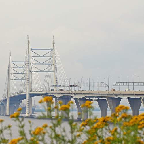 Photo #13315841