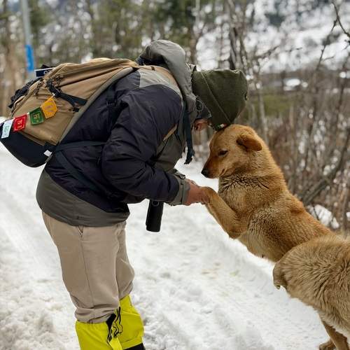 Photo #13315863