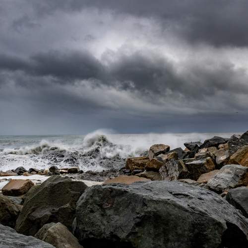 Photo #13315924