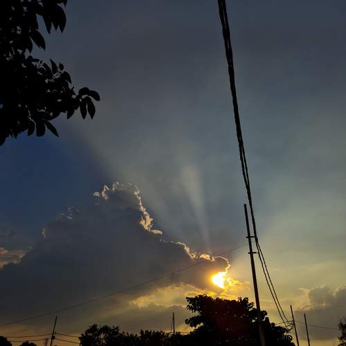 Photo #13315932