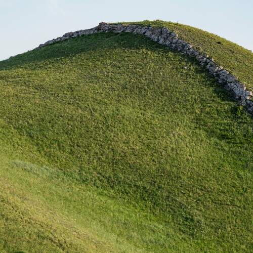 Photo #13315992