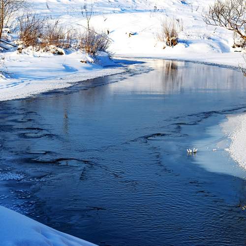 Photo #13316020
