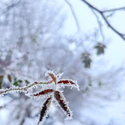 Photo #13316114
