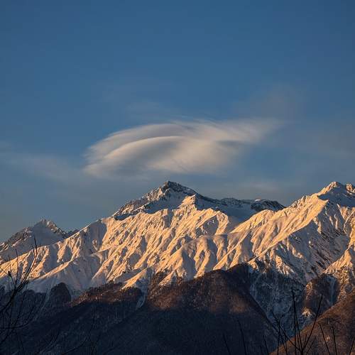 Photo #13316220