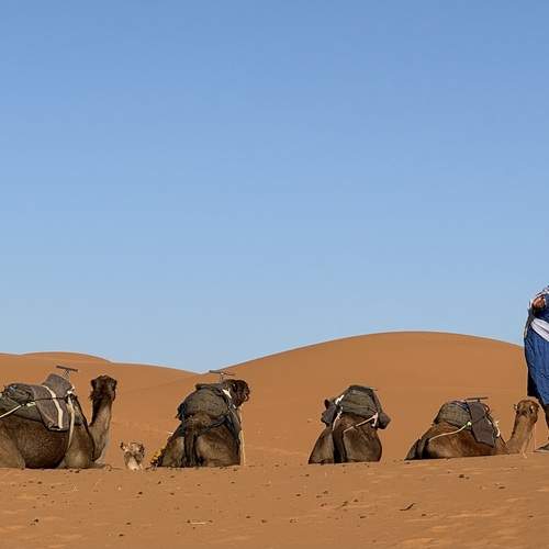 Фотография #13316478