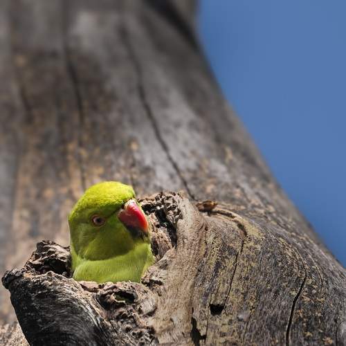 Photo #13316625