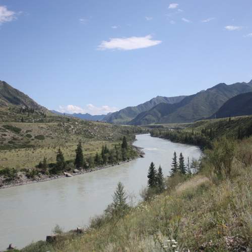 Photo #13316762