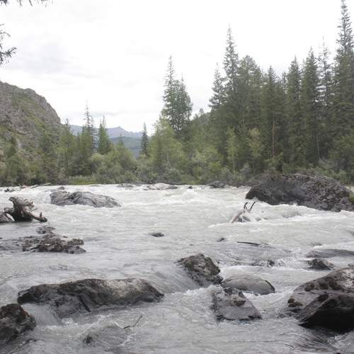 Photo #13316767