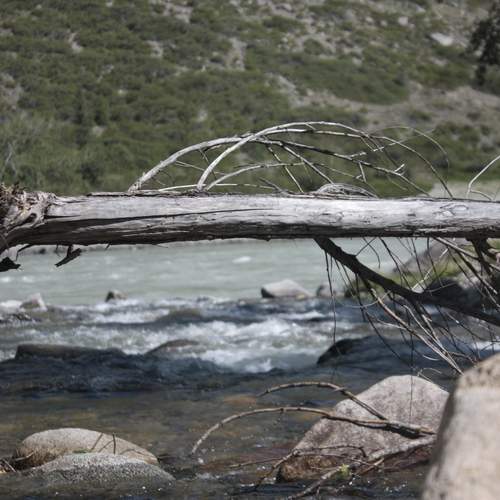 Photo #13316773